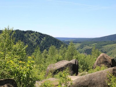 Holiday house Harz-Kurzurlaub in Lonau - Environment photo 30