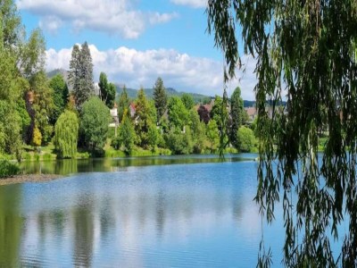 Holiday house Harz-Kurzurlaub in Lonau - Environment photo 32
