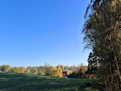 Holiday house Harz-Kurzurlaub in Lonau - Environment photo 33