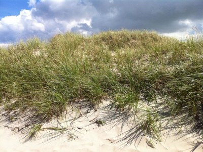 Holiday apartment Am Deich - Environment photo 17