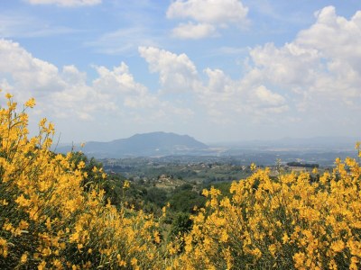 Farmhouse Country Farmhouse, Casperia - Environment photo 25