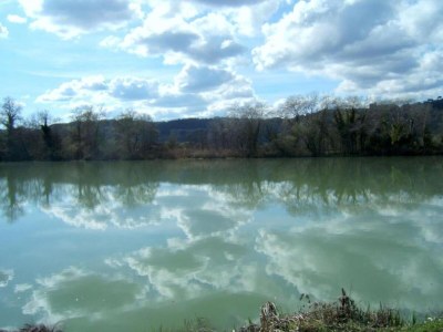 Farmhouse Country Farmhouse, Casperia - Environment photo 28