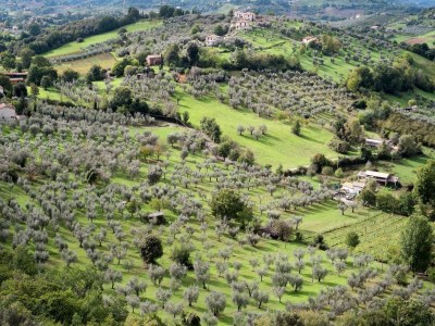 Farmhouse Bauernhaus in Casperia mit Pool & Aussicht - Environment photo 36