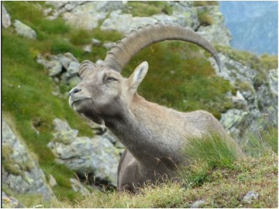 Apartment Apartment/2 Schlafräume/Dusche, WC - Outdoor photo 7