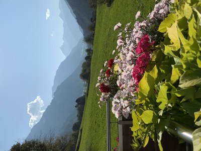 Apartment Apartment/2 Schlafräume/Dusche, WC - Outdoor photo 23