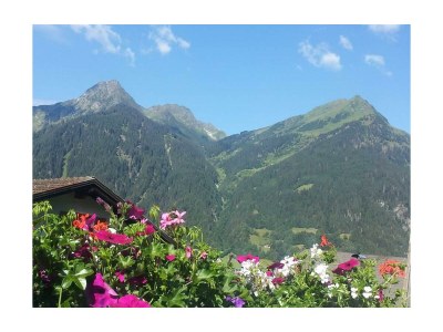 Apartment Apartment/2 Schlafräume/Dusche, WC - Features photo 34