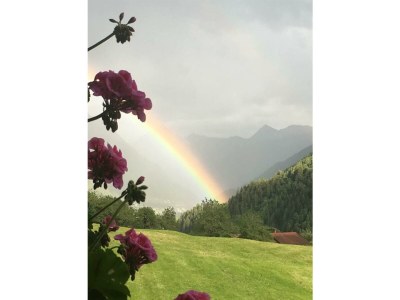 Apartment Apartment/2 Schlafräume/Dusche, WC - Features photo 36