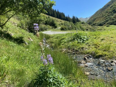 Apartment Apartment/2 Schlafräume/Dusche, WC - Features photo 39