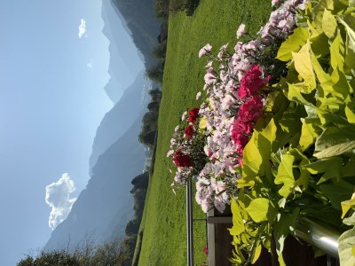 Apartment Apartment/2 Schlafräume/Dusche, WC - Features photo 45