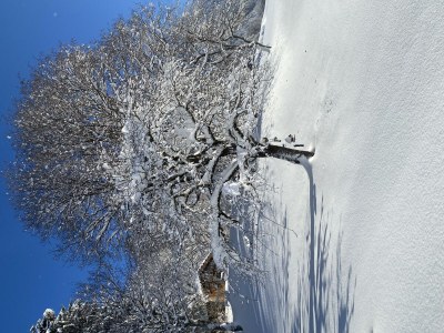 Apartment Apartment/2 Schlafräume/Dusche, WC - Features photo 47