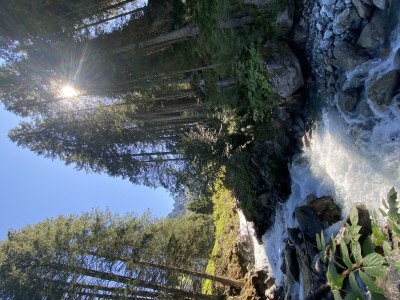 Apartment Apartment/2 Schlafräume/Dusche, WC - Features photo 48