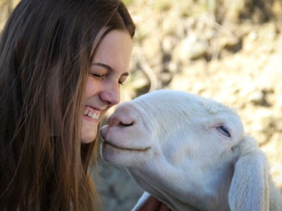 Apartment Alpenglück, Ap./3-4 Schlafräume/Dusche, WC - Outdoor photo 8