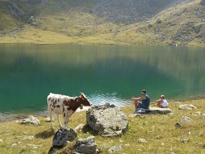 Apartment Alpenglück, Ap./3-4 Schlafräume/Dusche, WC - Outdoor photo 19