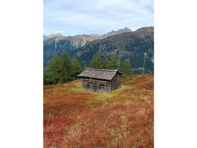 Apartment Alpenglück, Ap./3-4 Schlafräume/Dusche, WC - Outdoor photo 38