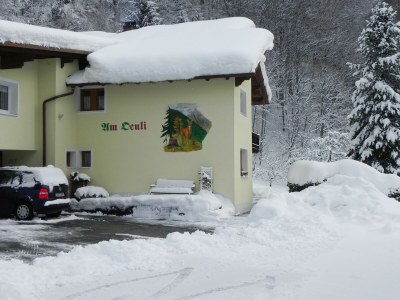 Apartment Alpenglück, Ap./3-4 Schlafräume/Dusche, WC - Outdoor photo 46