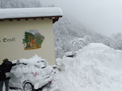 Apartment Alpenglück, Ap./3-4 Schlafräume/Dusche, WC - Outdoor photo 47