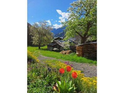 Apartment Alpenglück, Ap./3-4 Schlafräume/Dusche, WC - Outdoor photo 51