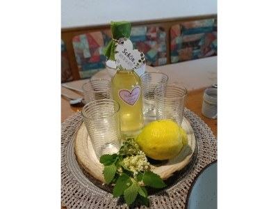 Apartment Alpenglück, Ap./3-4 Schlafräume/Dusche, WC - Features photo 63