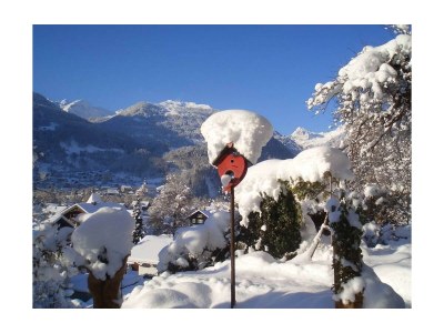 Apartment Appartement Morgensonne - Features photo 59