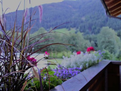 Apartment Apartment "Vallüla"/65m²/1-2 Schlafz./Du,WC - Features photo 27