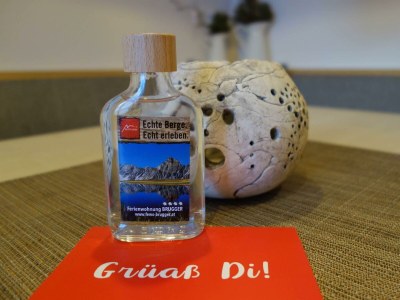 Apartment Apartment "Vallüla"/65m²/1-2 Schlafz./Du,WC - Features photo 32