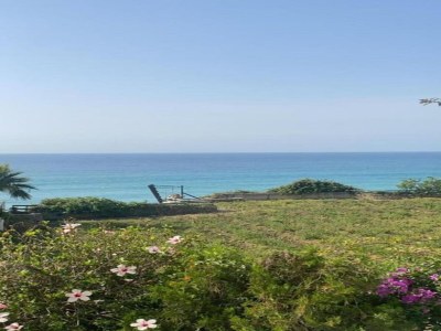 Apartment Wohnung in Nerja nahe Strand - Environment photo 37