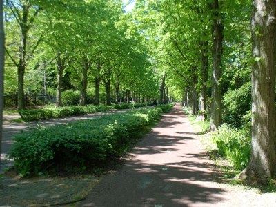 Holiday apartment Boathouse - Environment photo 22
