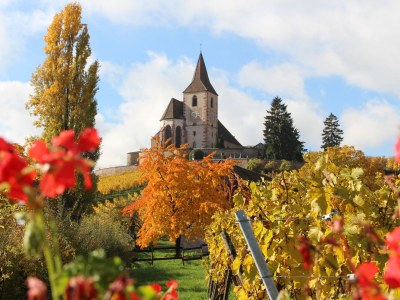 Holiday house Maison Gite Au Tonnelier - Environment photo 28