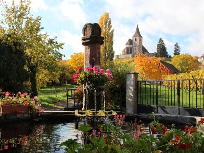 Holiday house Maison Gite Au Tonnelier - Environment photo 29