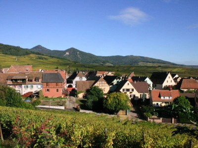 Holiday house Maison Gite Au Tonnelier - Environment photo 30