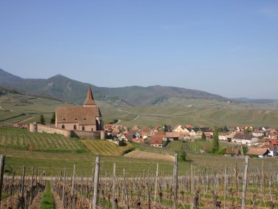 Holiday house Maison Gite Au Tonnelier - Environment photo 31