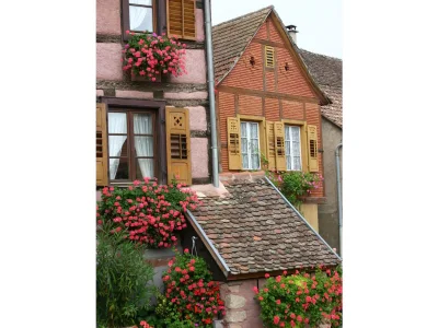 Holiday house Maison Gite Au Tonnelier - Environment photo 32