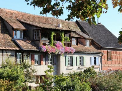 Holiday house Maison Gite Au Tonnelier - Environment photo 33