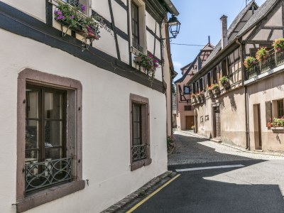 Holiday house Maison Gite Au Tonnelier - Environment photo 34