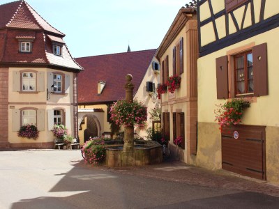 Holiday house Maison Gite Au Tonnelier - Environment photo 36