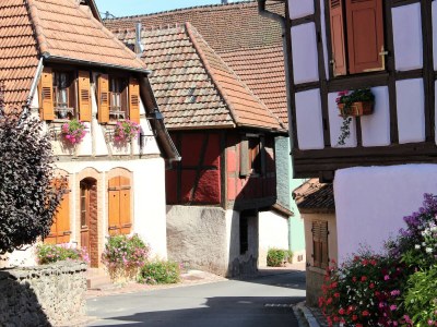 Holiday house Maison Gite Au Tonnelier - Environment photo 39