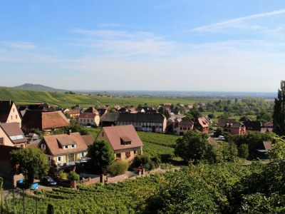 Holiday house Maison Gite Au Tonnelier - Environment photo 40