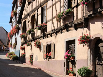 Holiday house Maison Gite Au Tonnelier - Environment photo 41