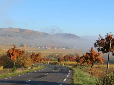 Holiday house Maison Gite Au Tonnelier - Environment photo 42