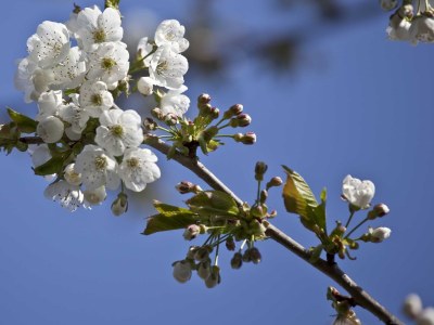Holiday apartment B&B Winter - Outdoor photo 7