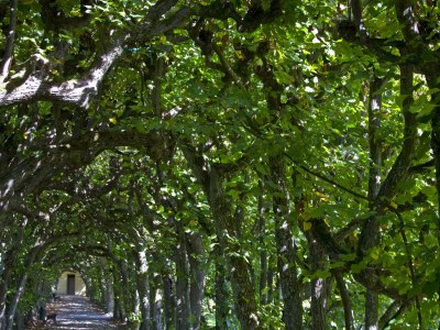 Holiday apartment B&B Winter - Environment photo 16