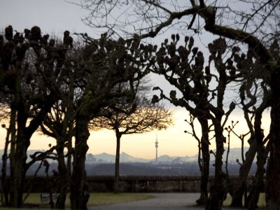 Holiday apartment B&B Winter - Environment photo 18