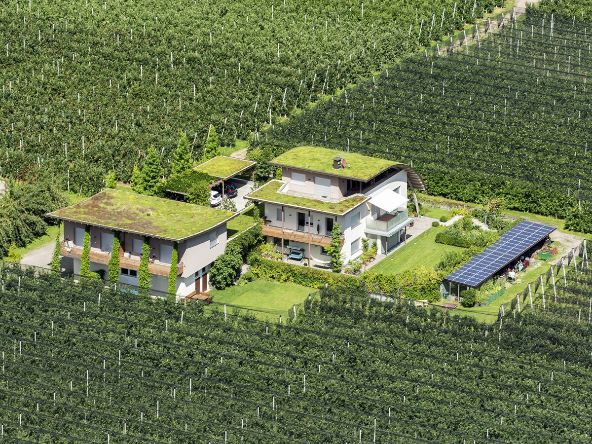 Holiday apartment Rot at the Sandwiesen-Hof