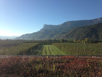 Holiday apartment Rot at the Sandwiesen-Hof - Outdoor photo 2