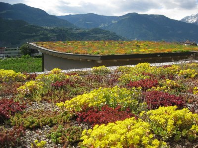 Holiday apartment Rot at the Sandwiesen-Hof - Outdoor photo 4