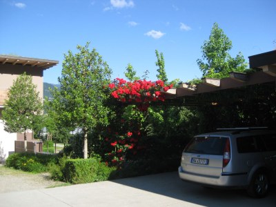 Holiday apartment Rot at the Sandwiesen-Hof - Outdoor photo 7