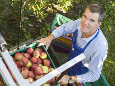Holiday apartment Rot at the Sandwiesen-Hof - Outdoor photo 10