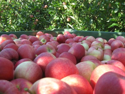 Holiday apartment Rot at the Sandwiesen-Hof - Outdoor photo 12