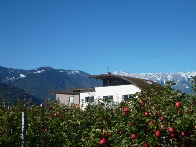 Holiday apartment Rot at the Sandwiesen-Hof - Outdoor photo 13