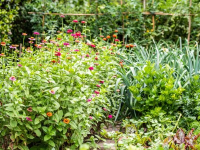 Holiday apartment Rot at the Sandwiesen-Hof - Outdoor photo 15